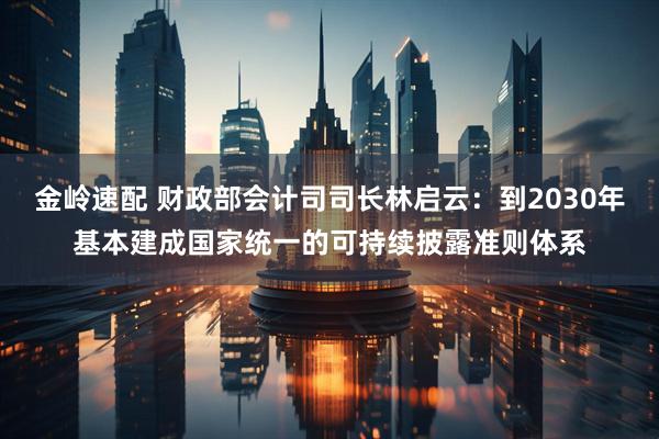 金岭速配 财政部会计司司长林启云：到2030年基本建成国家统一的可持续披露准则体系