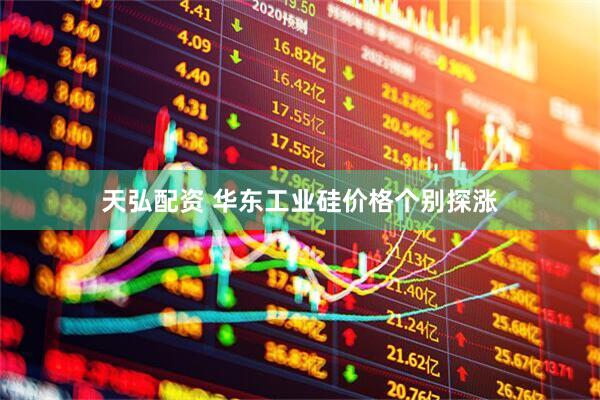 天弘配资 华东工业硅价格个别探涨