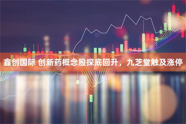鑫创国际 创新药概念股探底回升，九芝堂触及涨停